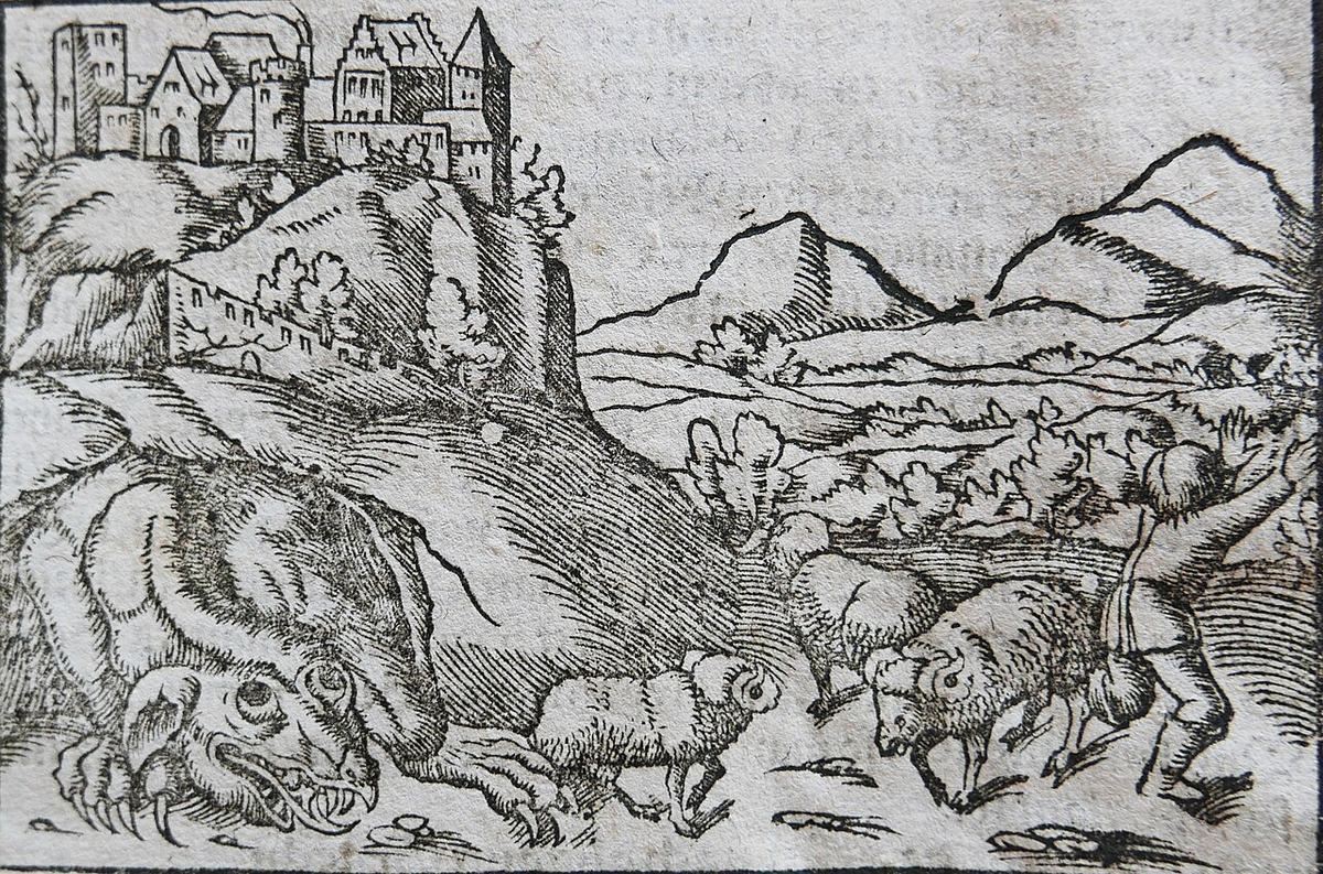 The Wawel dragon in Sebastian Münster’s Cosmographia (1544). This is a historical illustration of the legend, not an observation of an animal.