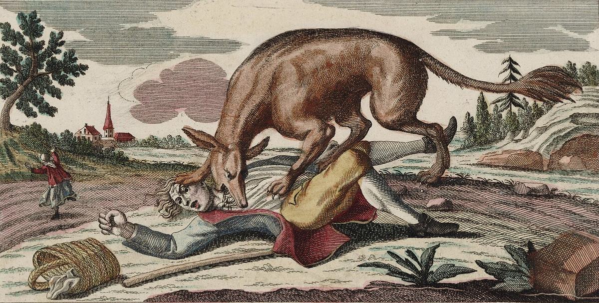 An eighteenth-century print of the Beast of Gévaudan (1764). The imagined animal reveals the fear surrounding the attacks rather than settling its identity.