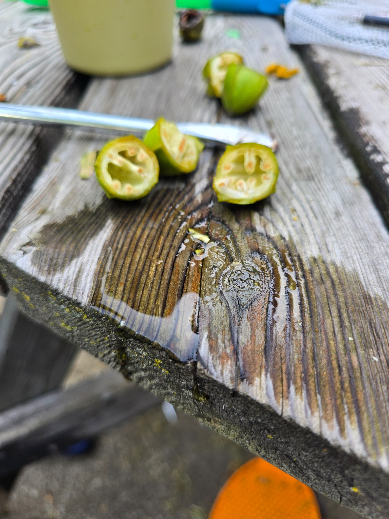Pecan Harvest Timing / Immature Nut Field Notes — pecan-harvest-juice.jpg